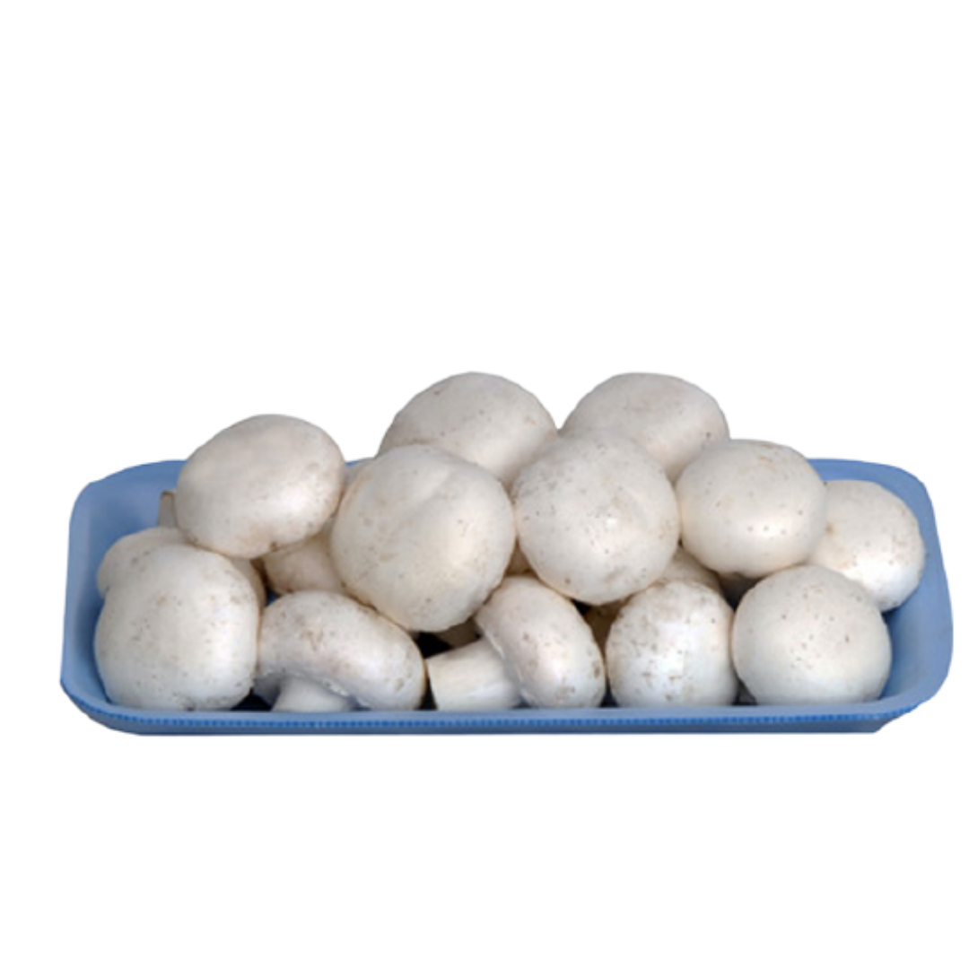 MANTAR PAKET MANAV